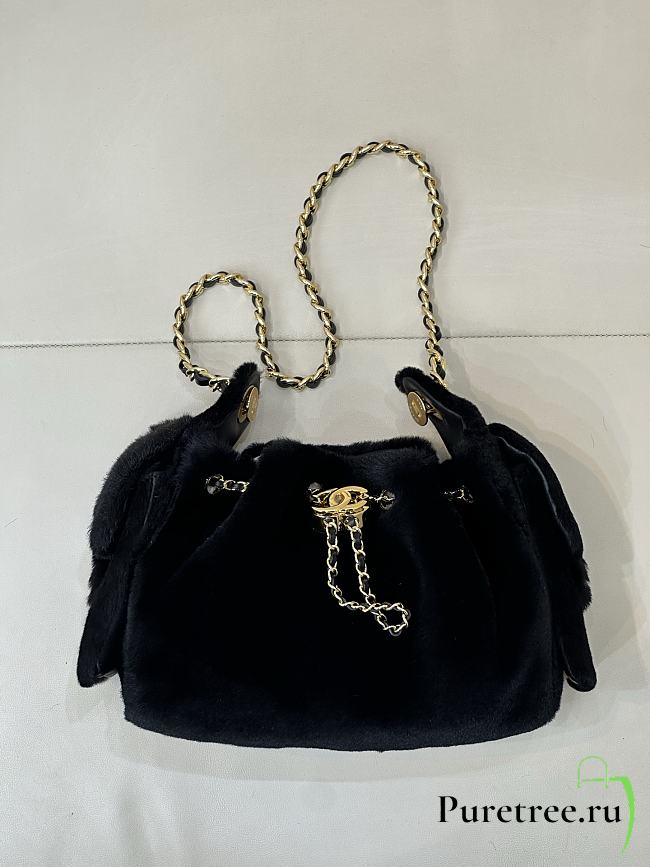 CHANEL | Mini 25 Hobo Bag Black Pony Hair Gold Hardware - 1