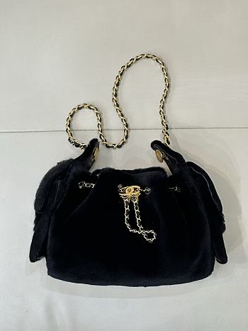CHANEL | Mini 25 Hobo Bag Black Pony Hair Gold Hardware
