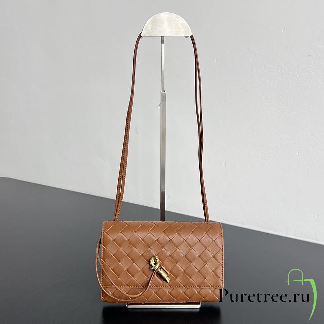 BOTTEGA VENETA | Andiamo Tannin Woven Leather Crossbody Pouch - 1
