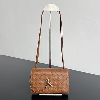 BOTTEGA VENETA | Andiamo Tannin Woven Leather Crossbody Pouch