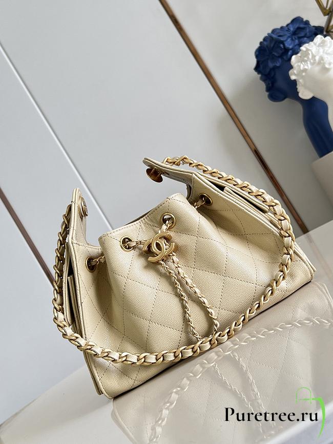 CHANEL | Mini 25 Hobo Bag Caviar In Pastel Beige - 1