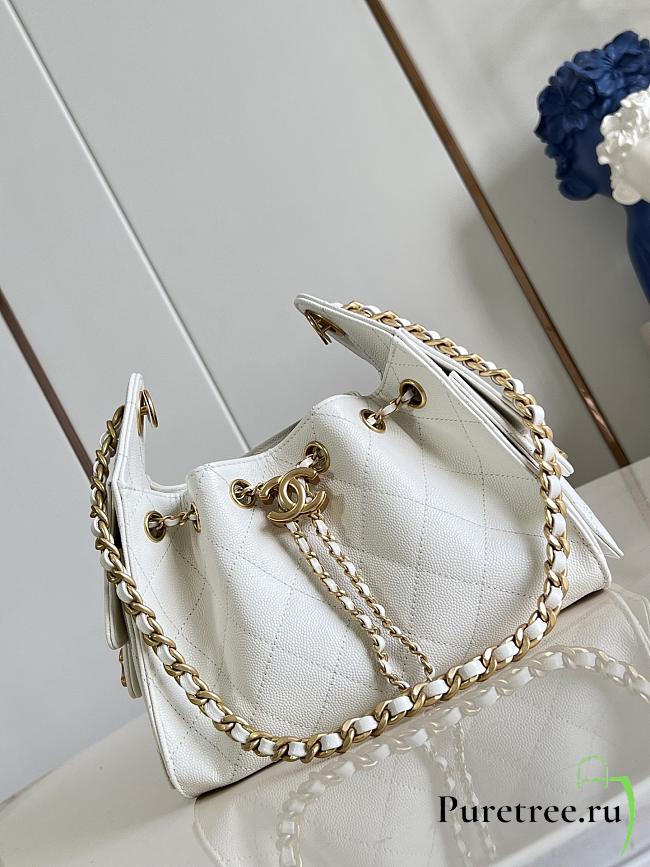 CHANEL | Mini 25 Hobo Bag Caviar In Pastel White - 1