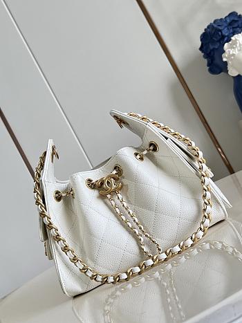 CHANEL | Mini 25 Hobo Bag Caviar In Pastel White