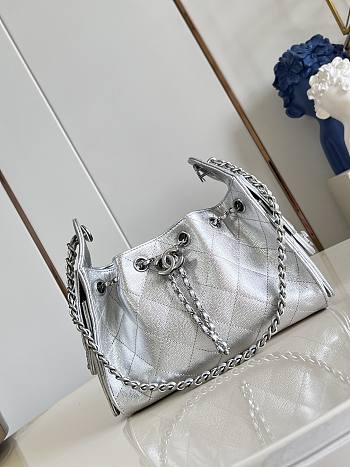 CHANEL | Mini 25 Hobo Bag Caviar In Pastel Silver