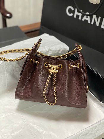 CHANEL | Mini 25 Hobo Bag Caviar In Brown