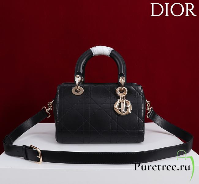 DIOR | Small D Granville Flat Macrocannage Gold Hardware In Black - 1