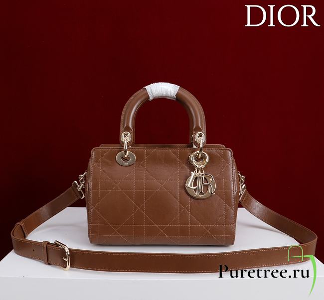 DIOR | Small D Granville Flat Macrocannage Gold Hardware In Brown - 1
