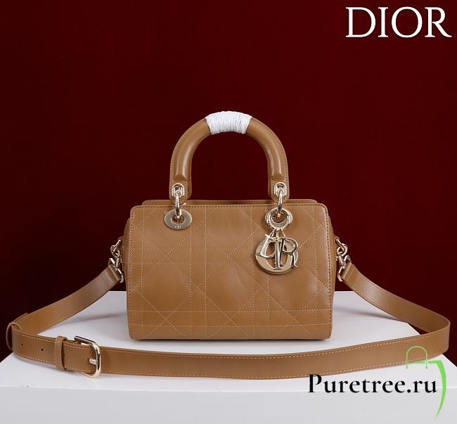 DIOR | Small D Granville Flat Macrocannage Gold Hardware In Tan - 1