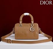 DIOR | Small D Granville Flat Macrocannage Gold Hardware In Tan - 1
