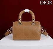 DIOR | Small D Granville Flat Macrocannage Gold Hardware In Tan - 5