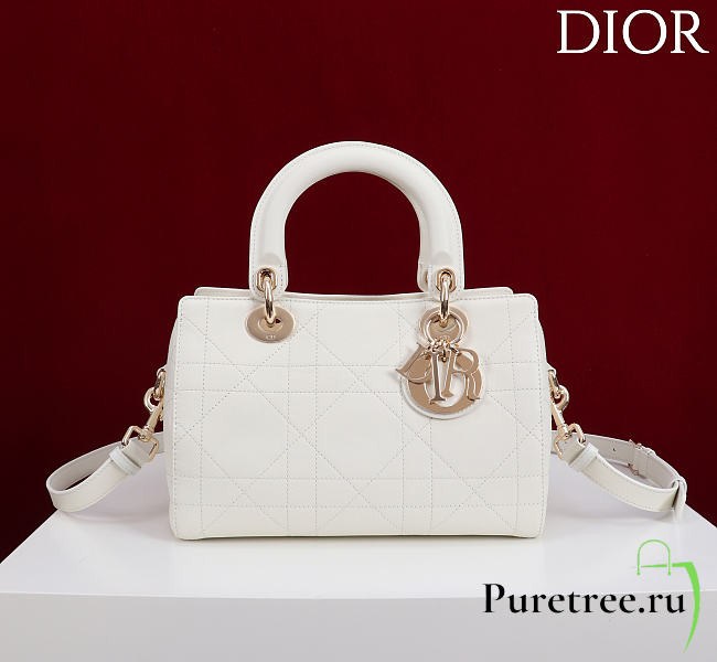 DIOR | Small D Granville Flat Macrocannage Gold Hardware In White - 1