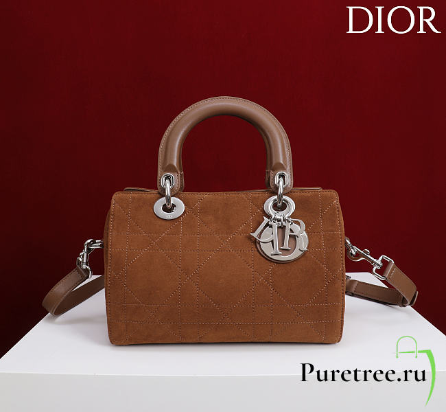 DIOR | Small D Granville Flat Macrocannage Silver Hardware In Suede Brown - 1